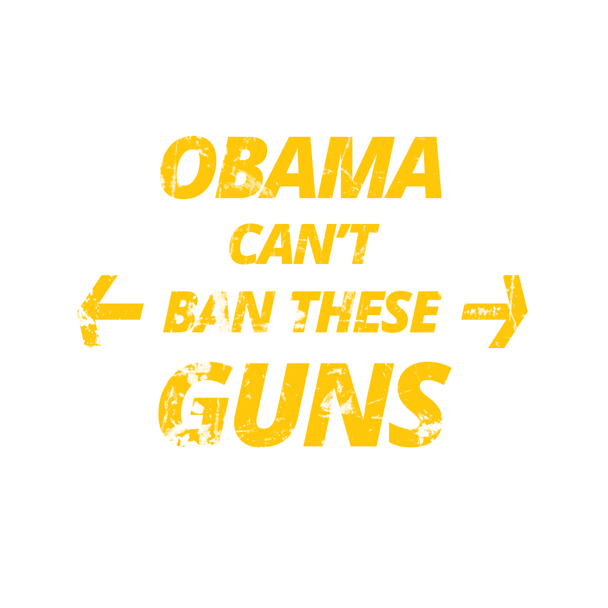 Obama Can't Ban These Guns